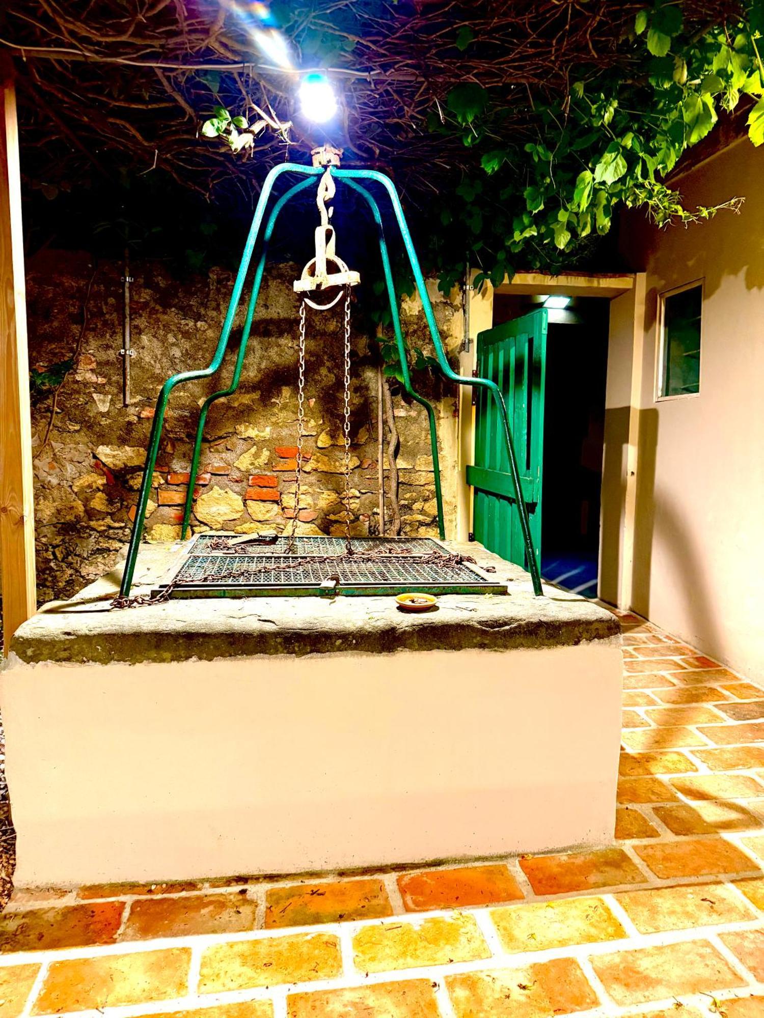 Ciliegia Di Lari - Attico Villa Exterior foto